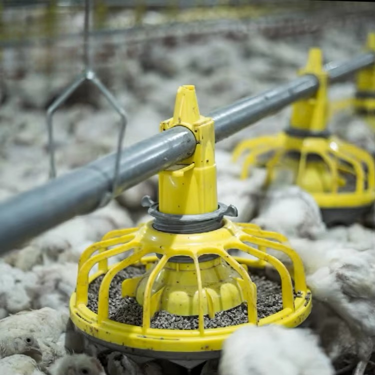 Farming Agriculture Equipment - Landwirtschaftliche Ausrüstung für Hühner- und Geflügel/Broilerfuttergeräte/Ausrüstung