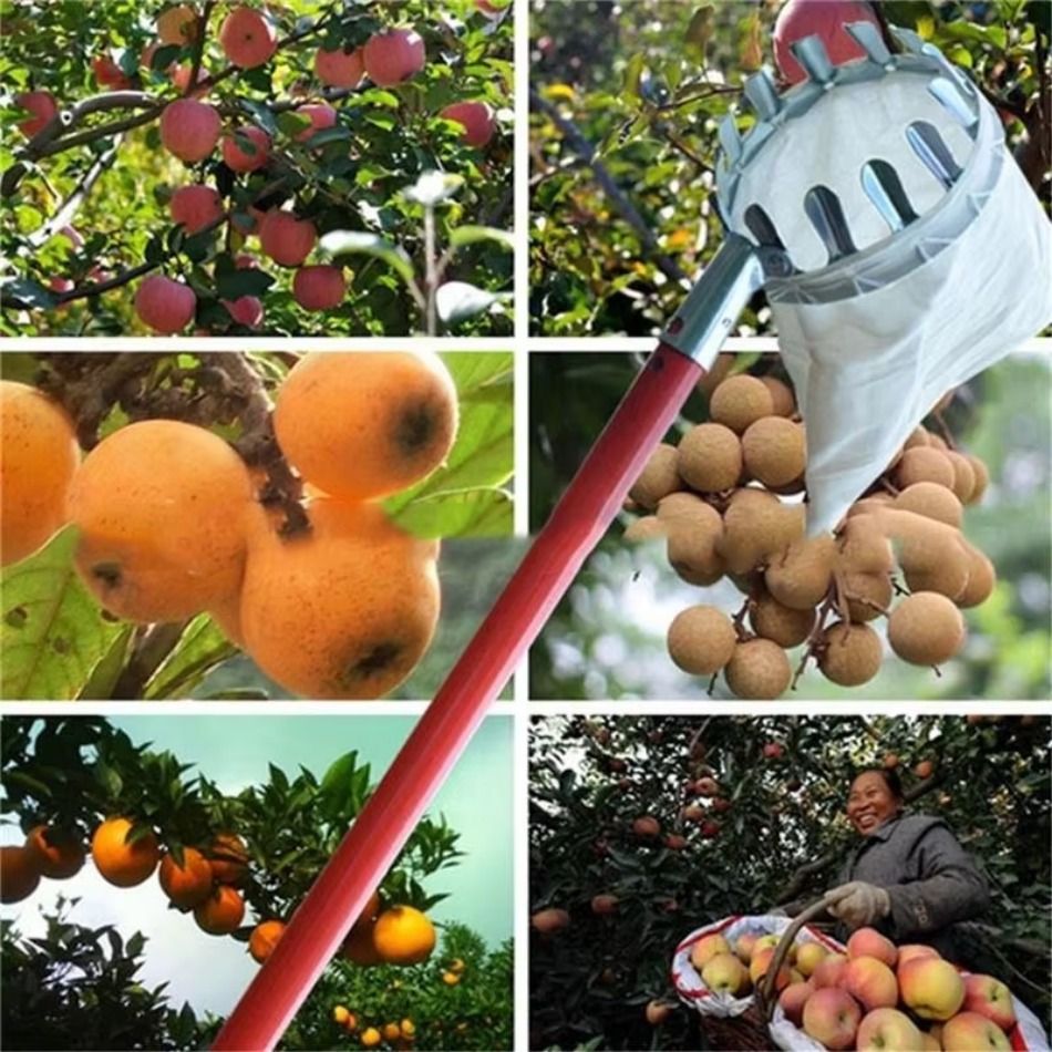 Mehrzweck-Obstpflücker aus tel – Farming Agriculture Tools Bewertung und Preis